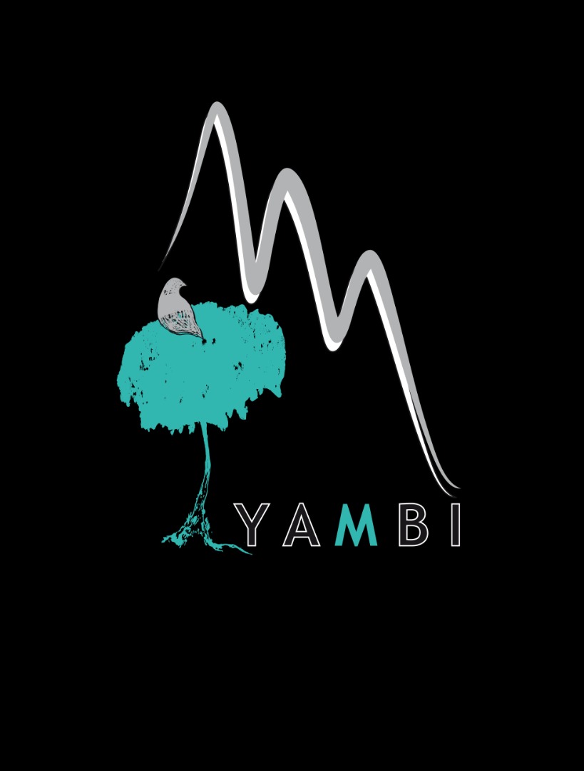 Logo YAMBI